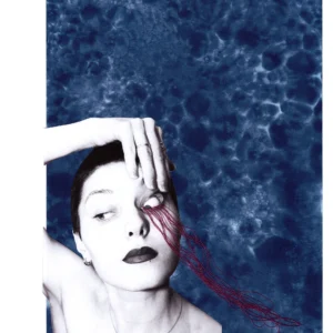 Jellyfish 06